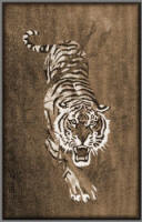 bengal_tiger_by_w_j_rondholz